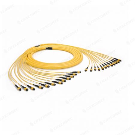 Kabel Trunk MTP MPO Pra-terminasi Harness - Kabel Trunk MTP® dan MPO